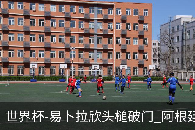 世界杯-易卜拉欣头槌破门 阿根廷失点半场0-1落后埃及