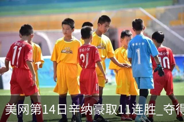 美网第14日辛纳豪取11连胜 夺得生涯大满贯第2冠